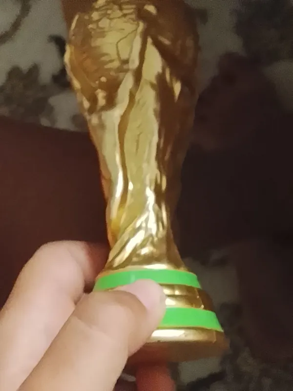 кубок чемпионата мира
