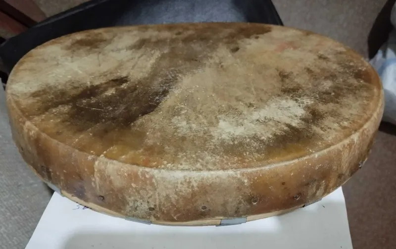 Продам Дойру, натуральная кожа, супер звук! — фото 1