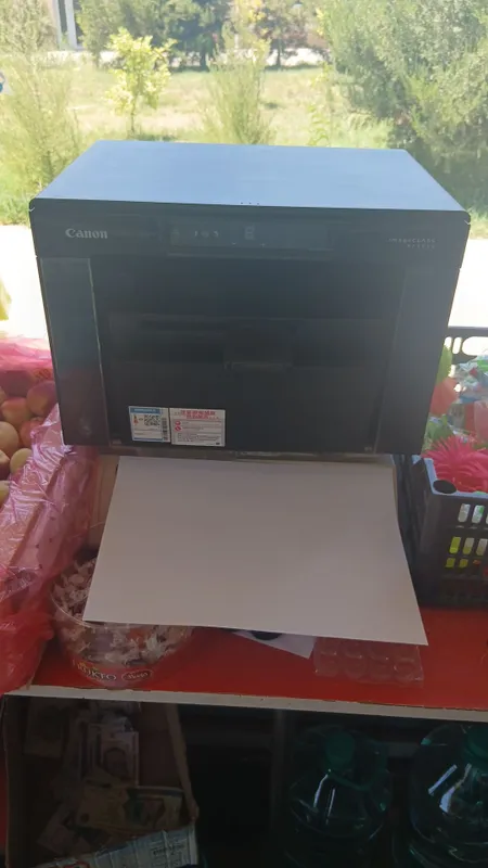 Canon MF 3010 2