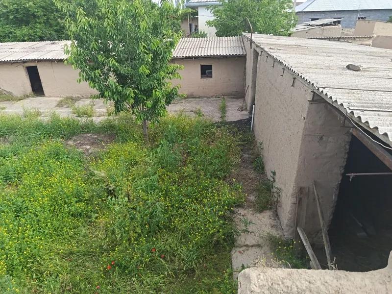 Zomin tumani Gulshan