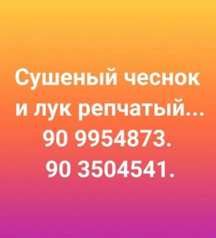 Сушёный чеснок и лук премиум класса Сушёный чеснок и лук премиум класса