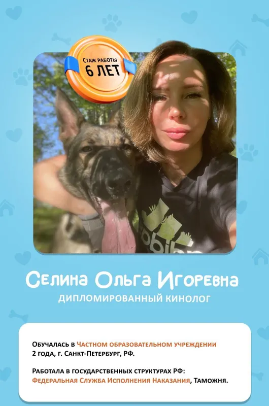 Услуги кинолога. 3