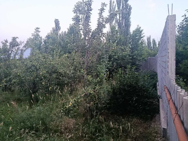 Bo'stonliq tumani, Soyliq qishlog'ida yer sotiladi — фото 2