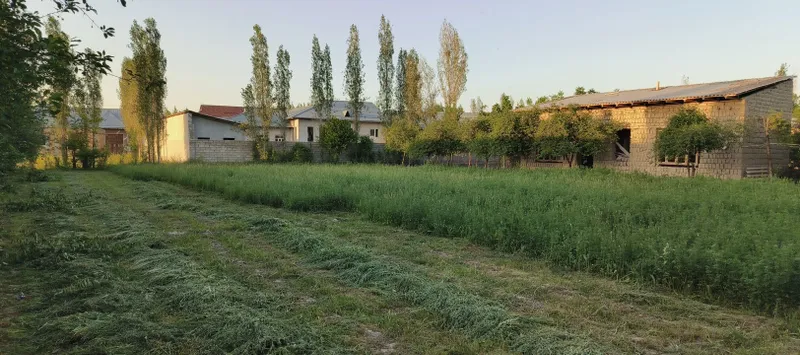 Samarqand viloyati Jomboy tumani uchastka — фото 1
