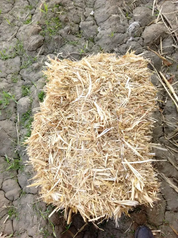 Mollar uchun sifatli barra boĝlik poya va poya preslar — фото 5