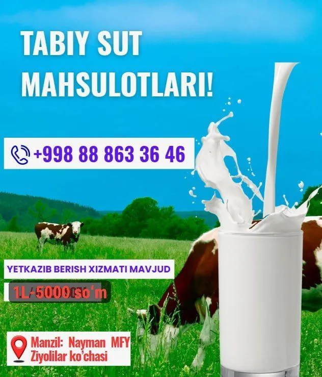 sut saryoğ chaki qatiq mahsulotlari