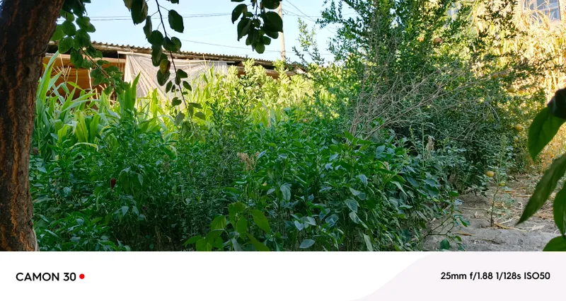 Продаётся дом в Самарканде за чайником, за пиалой (с обратной стороны) 6