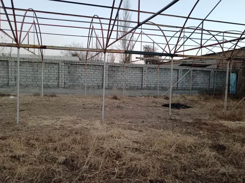 Теплица