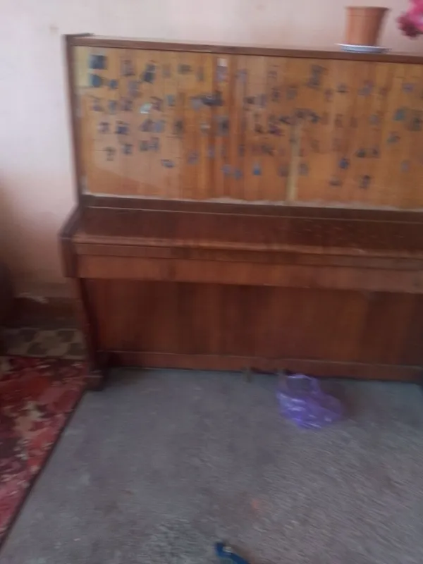 Пионина холати яхши