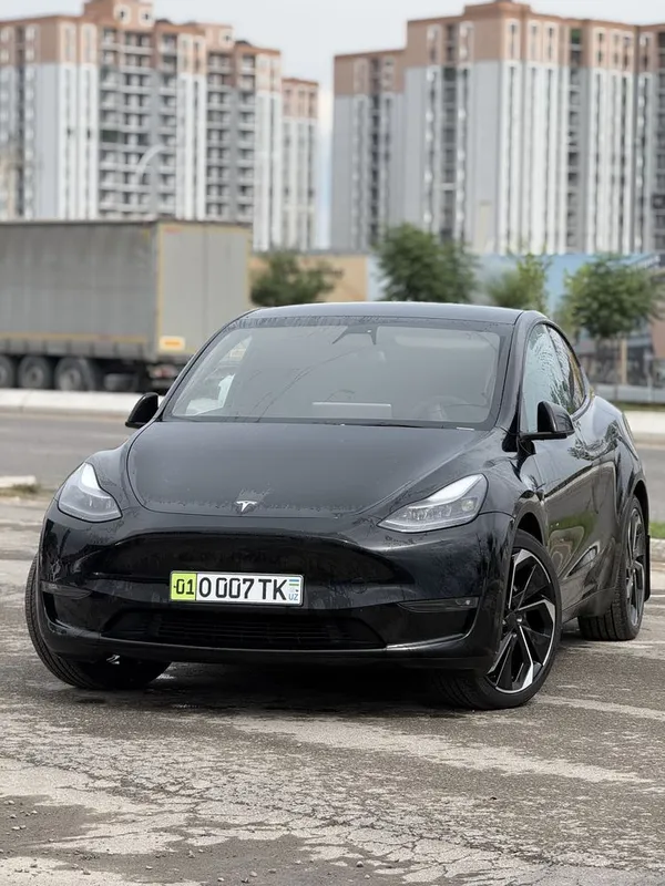 Tesla Model Y Dual motor 4wd