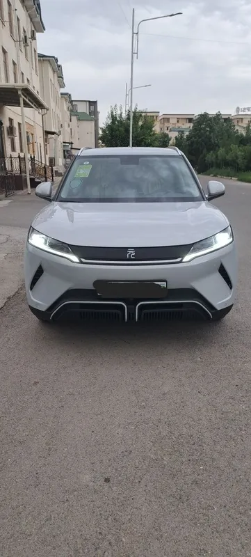 Bvd yuan ap Ev 2024