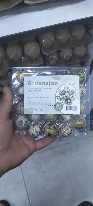 Bedana tuxumi koʻp miqdorda olsalar kelishtrib beramn