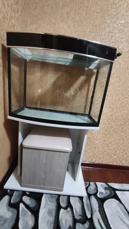 2 ta akvarium ishlatiladigan xolatda