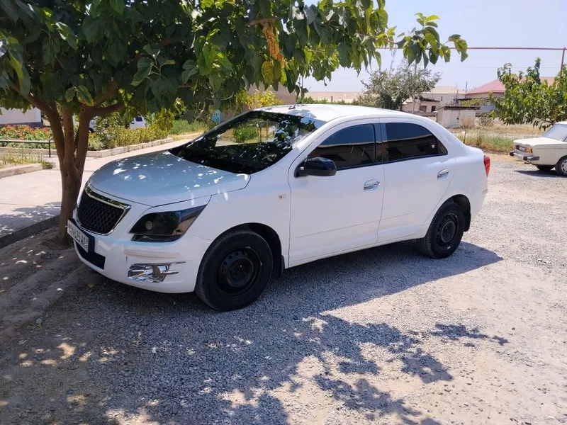Cobalt 2019 Ravon 7 Cobalt 2019 Ravon 7