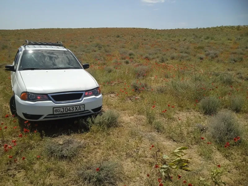 Nexia 1 xolati zoʻr 4