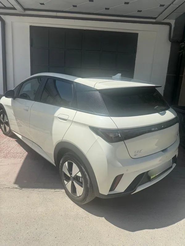 BYD Delphine elektro kar дельфин