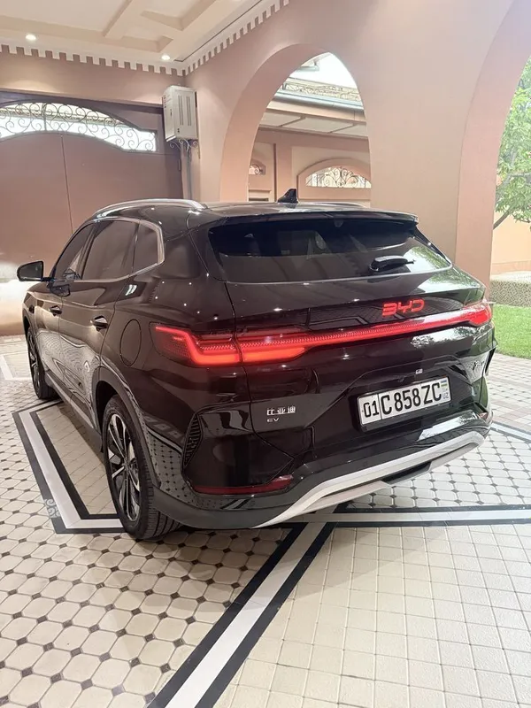 Byd Champion SMART — фото 2