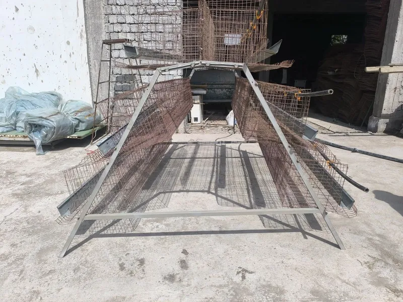 Tovuqxona sotiladi xitoy 20.000 komplek komplekti 650.000 ming so'mt 3 Tovuqxona sotiladi xitoy 20.000 komplek komplekti 650.000 ming so'mt 3