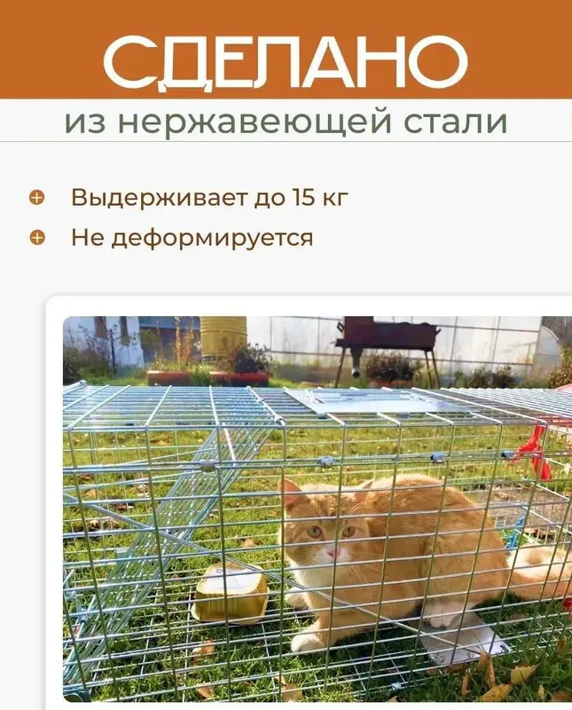Аренда средней кошколовки — гуманная ловушка для кошек | Ташкент 7