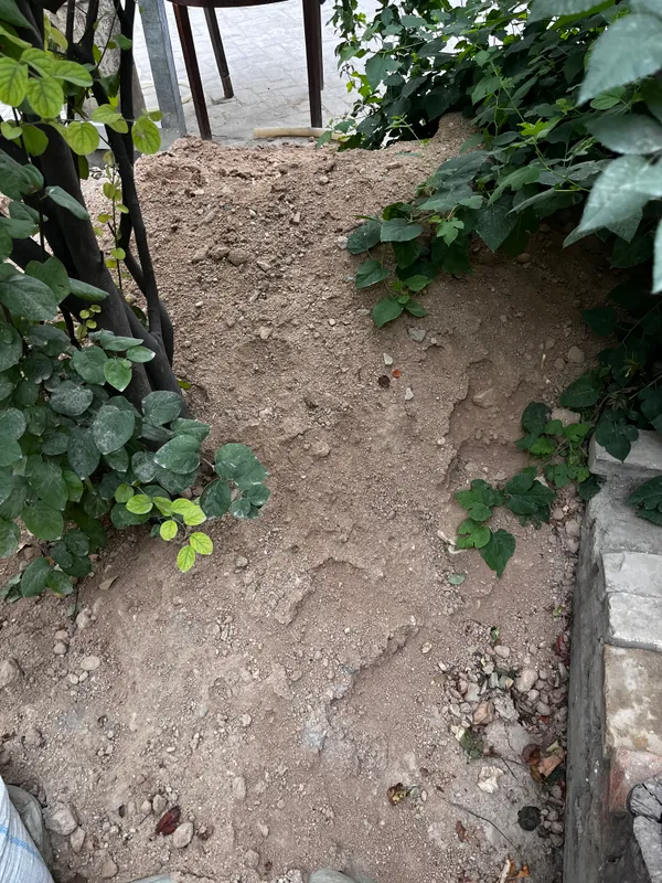 Qizil qum kladka uchun Qizil qum kladka uchun