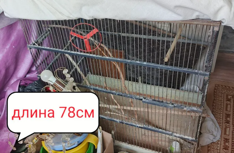 Продам клетку б/удоя птиц,прутья толстые, 2 Продам клетку б/удоя птиц,прутья толстые, 2