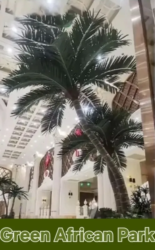 Palma darahtlari Суний Палма дарахтлар Palma darahtlari Суний Палма дарахтлар