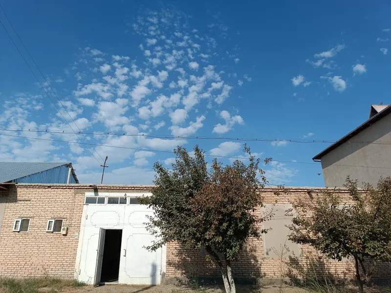 Geofizikada Uchastka sotiladi, narxini yana kelishamiz — фото 1