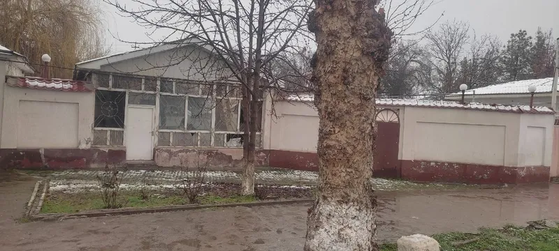 Toshkent viloyati Oqqorgon tumani Alimkent paxta zavodni oldida yolda — фото 2
