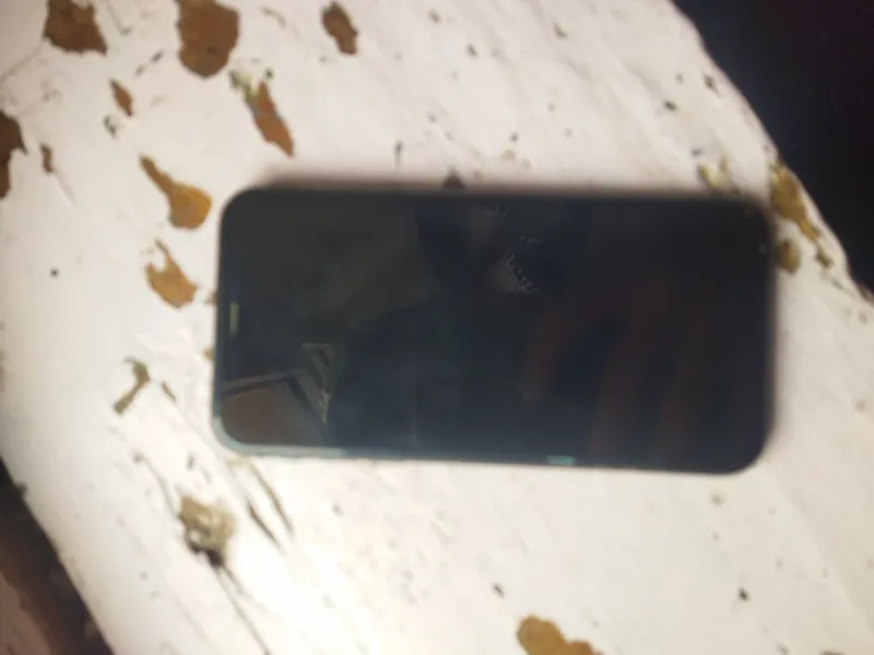 iPhone 11 2