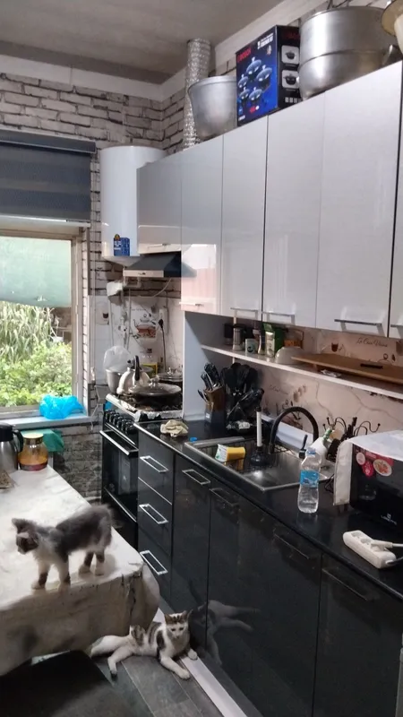Eski Sergelida uy: 3 sotix, 3 xonali 7 Eski Sergelida uy: 3 sotix, 3 xonali 7