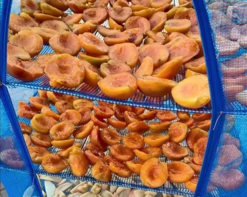 Сетка сушилка для фруктов и овощей