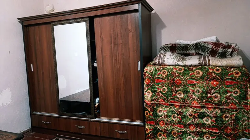 Шфанер пашти новый — фото 1