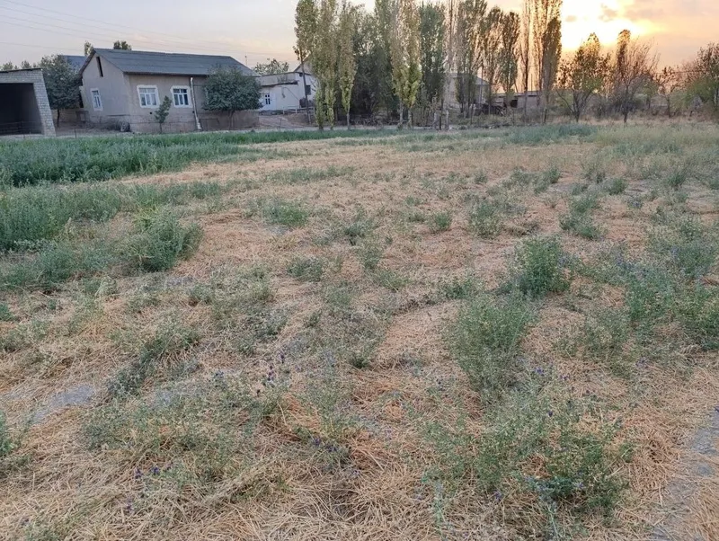 Uy qurishga yer sotiladi urtasaroy navruzdan 4km — фото 3
