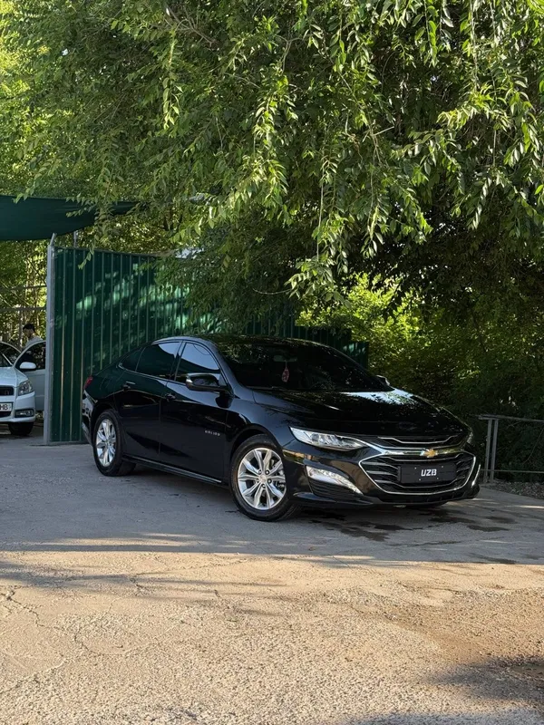 Malibu premyer ariginali 58 000 prabek