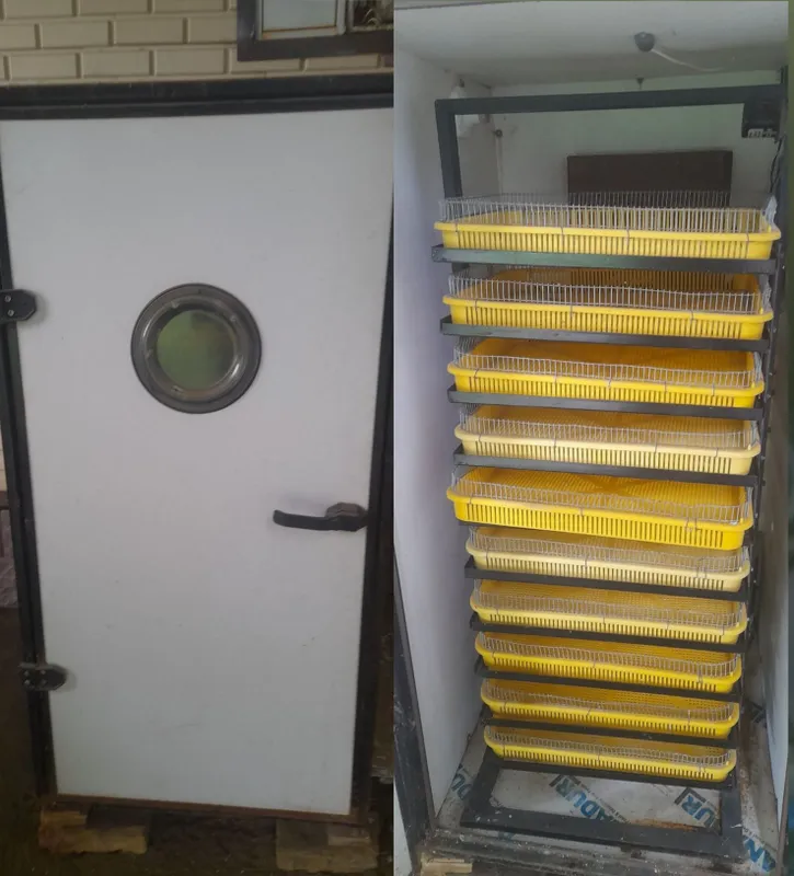 Inkubator 1000 ta tovuq tuxumiga moʻljallangan