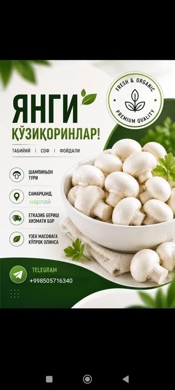 Кузикорин бор катта партияда терилади 1 Кузикорин бор катта партияда терилади 1