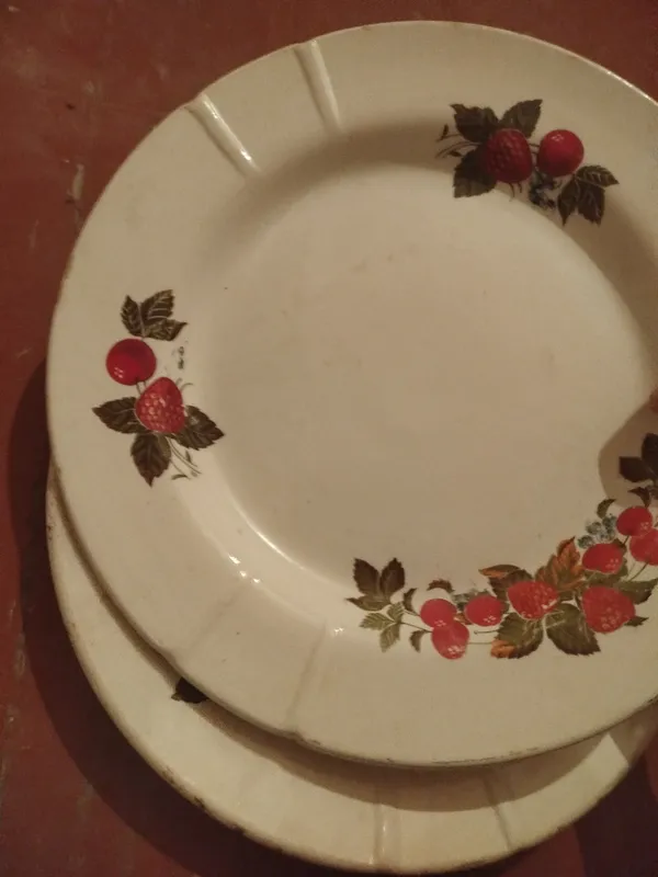 paxta gulli kosa va lagan 1 paxta gulli kosa va lagan 1