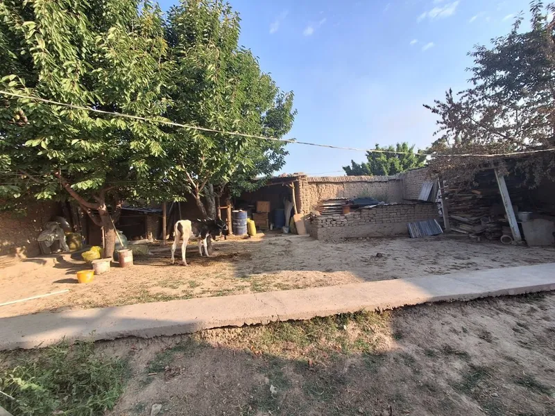Yer sotiladi o"zmiz yashab turgan xovlni yarmi 2 Yer sotiladi o"zmiz yashab turgan xovlni yarmi 2
