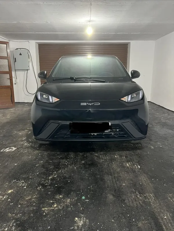byd seagull 2024 rangi qora