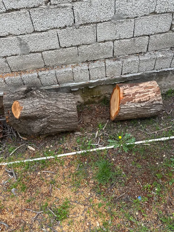 Продам дрова — фото 3