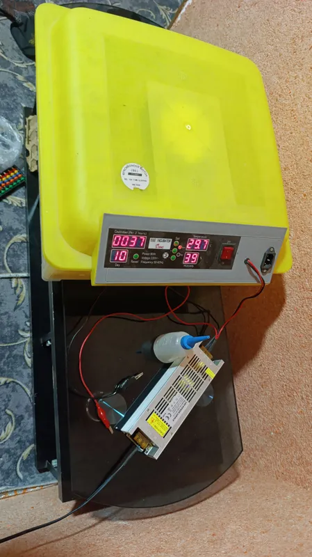 inkubator