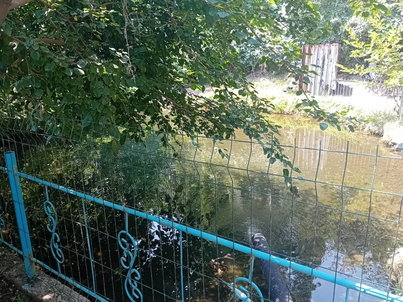 dacha 4