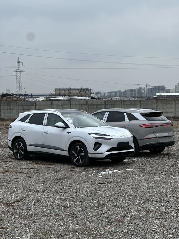 Sealion 06 byd smart — фото 2
