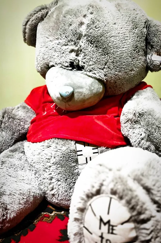Teddy boʻyi 1.5