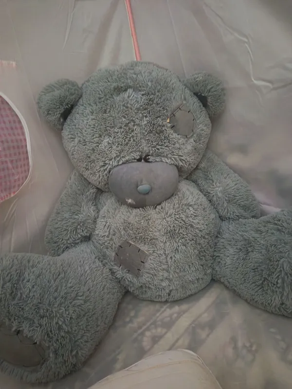 teddy ayqcha sotiladi