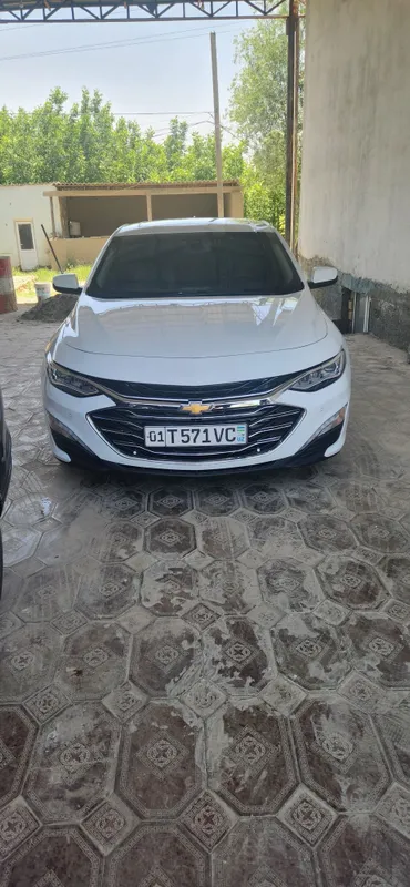 2019 yil 2.4 pirimer qilingan