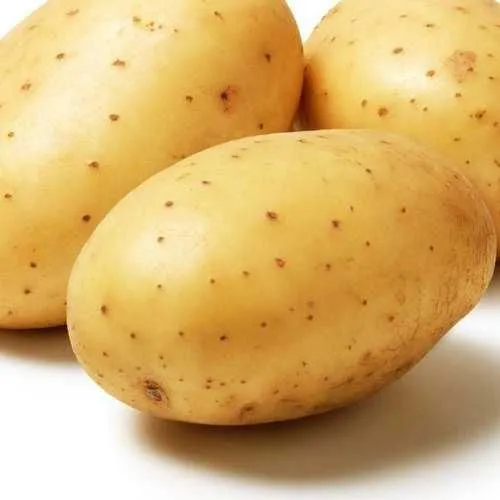 Kartoshka sotiladi optom 2026 3 Kartoshka sotiladi optom 2026 3