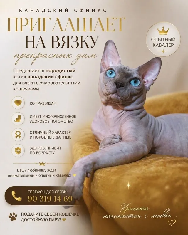 Приглашаем на вязку 1