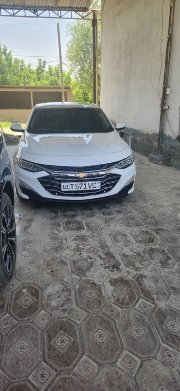 2019 yil 2.4 pirimer qilingan — фото 1