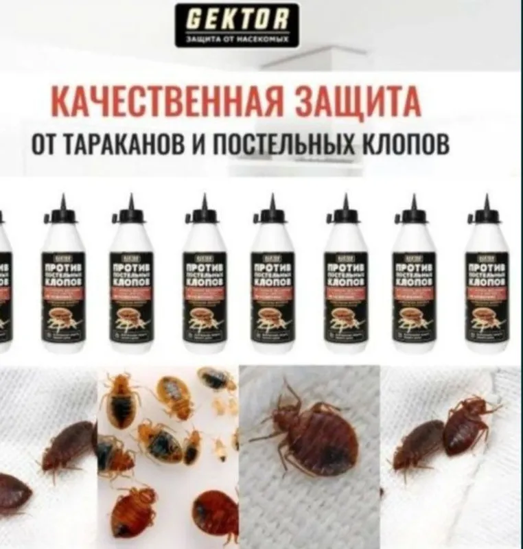 Advion Cockroach шприст от тараканов ОРИГИНАЛ! Tarakan dori — фото 1 Advion Cockroach шприст от тараканов ОРИГИНАЛ! Tarakan dori — фото 1